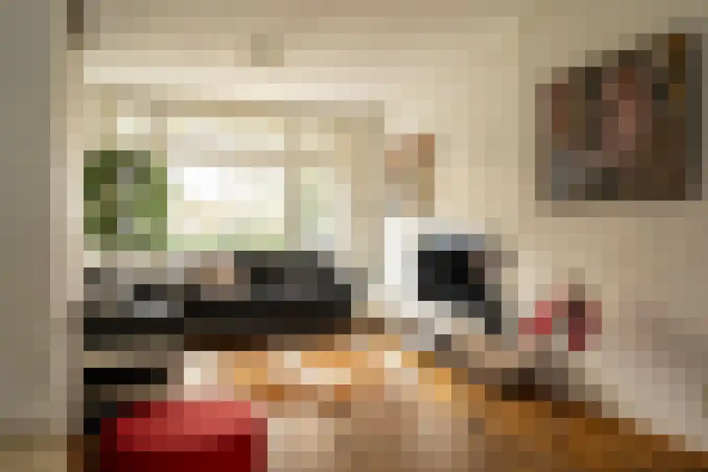 Van Riebeecklaan 11 Haarlem thumbnail 7