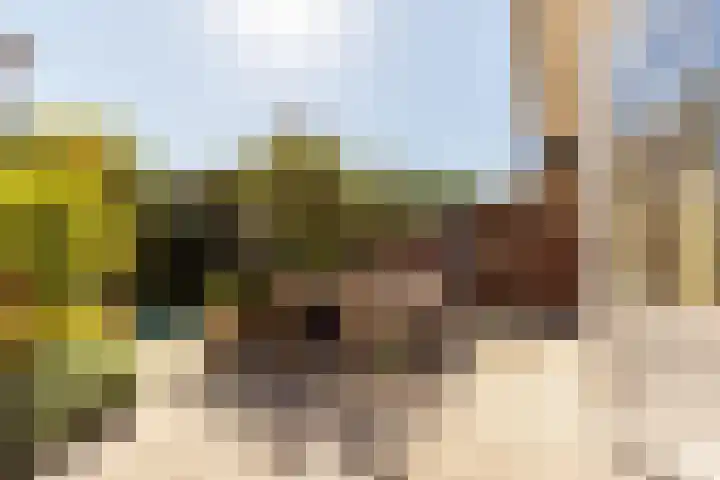 Van Riebeecklaan 25 Haarlem thumbnail 11