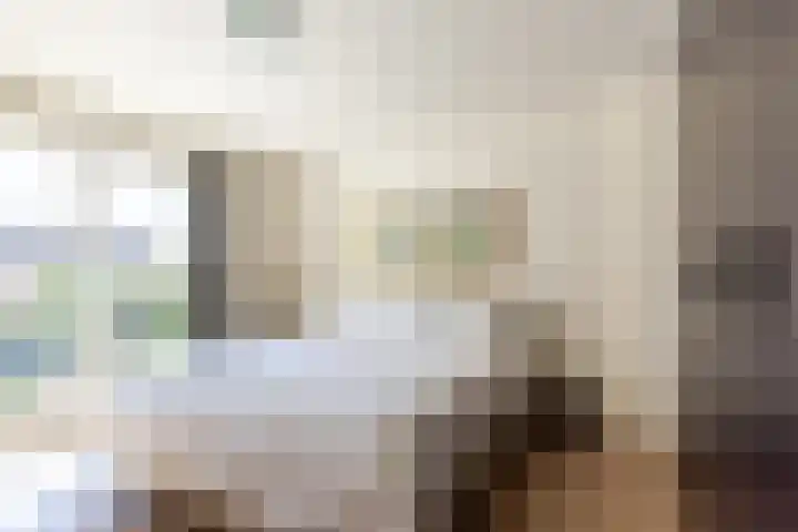 Van Riebeecklaan 25 Haarlem thumbnail 16