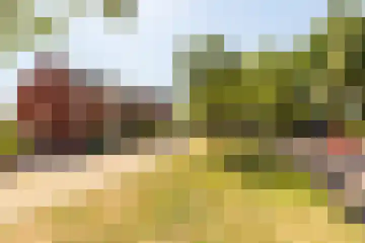 Van Riebeecklaan 25 Haarlem thumbnail 32