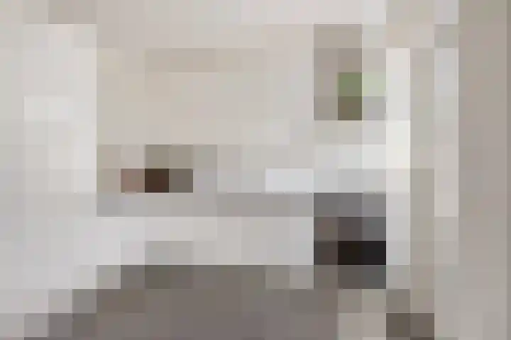 Van Riebeecklaan 27 Haarlem thumbnail 11