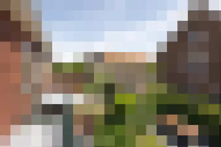 Van Riebeecklaan 27 Haarlem thumbnail 17