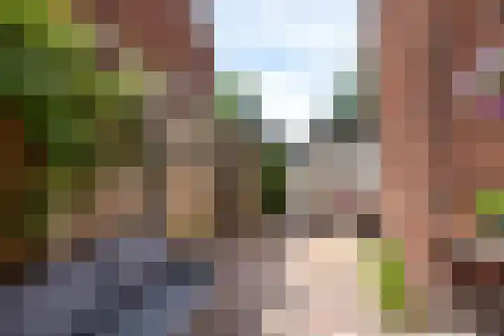 Van Riebeecklaan 27 Haarlem thumbnail 25