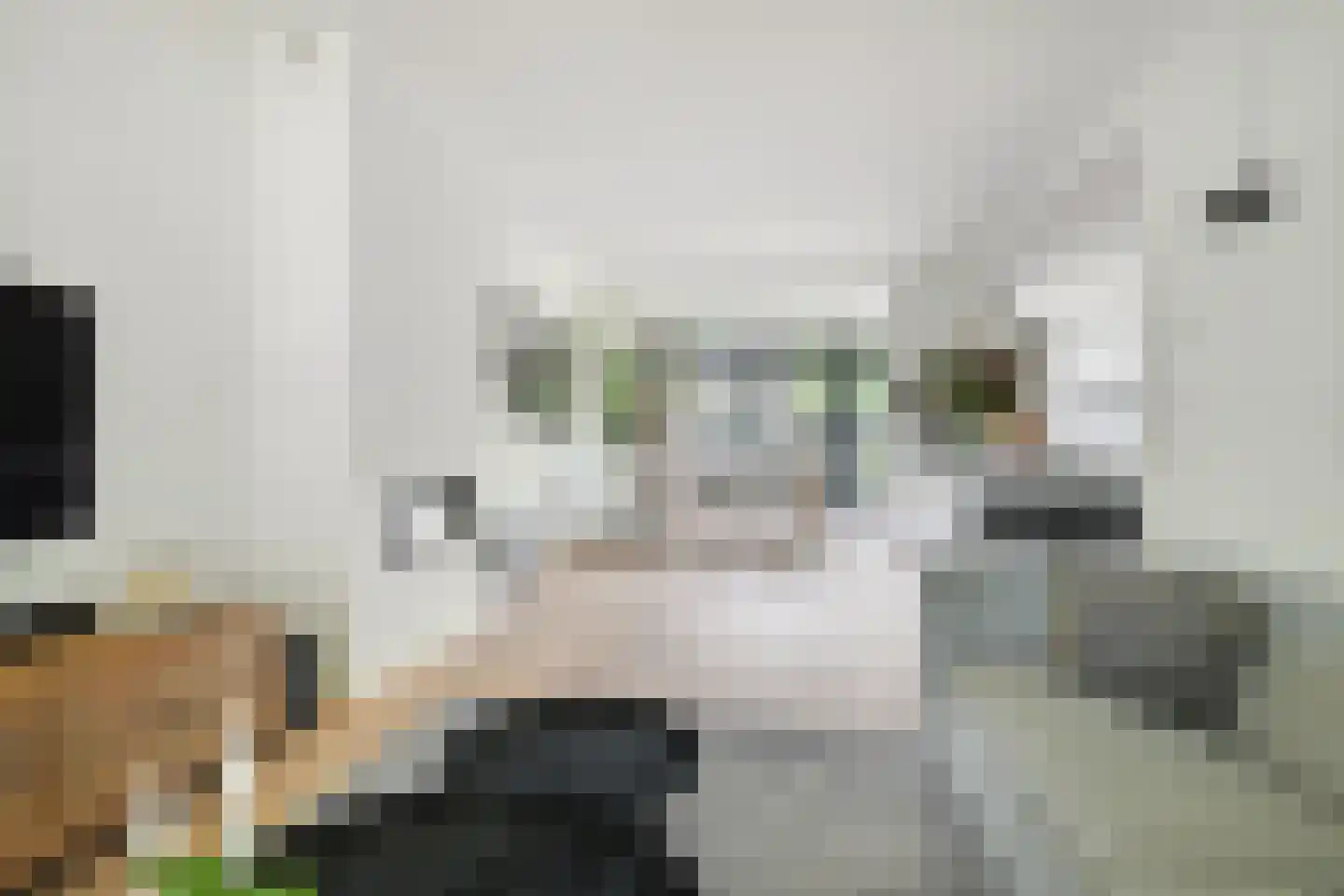 van Riebeecklaan 33 Breda thumbnail 16