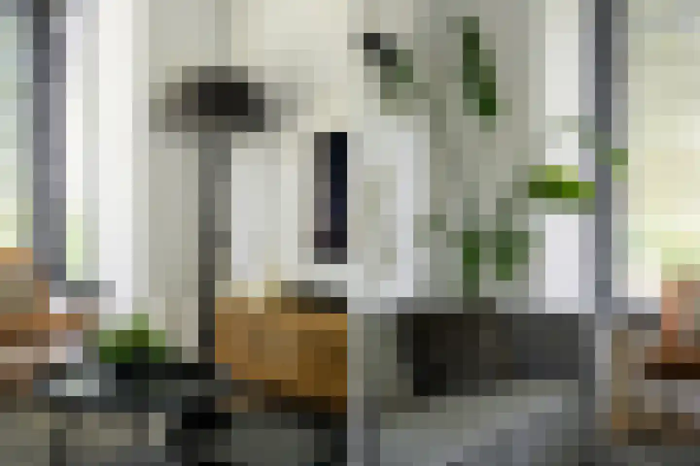 van Riebeecklaan 33 Breda thumbnail 18