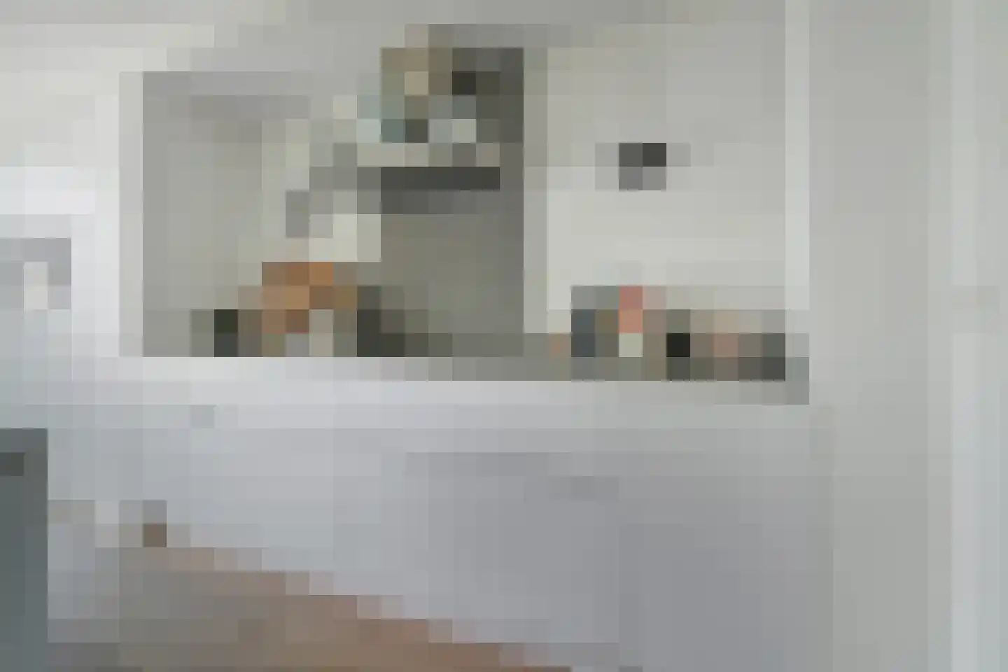 van Riebeecklaan 33 Breda thumbnail 25