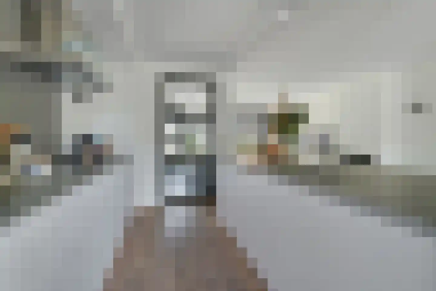 van Riebeecklaan 33 Breda thumbnail 31