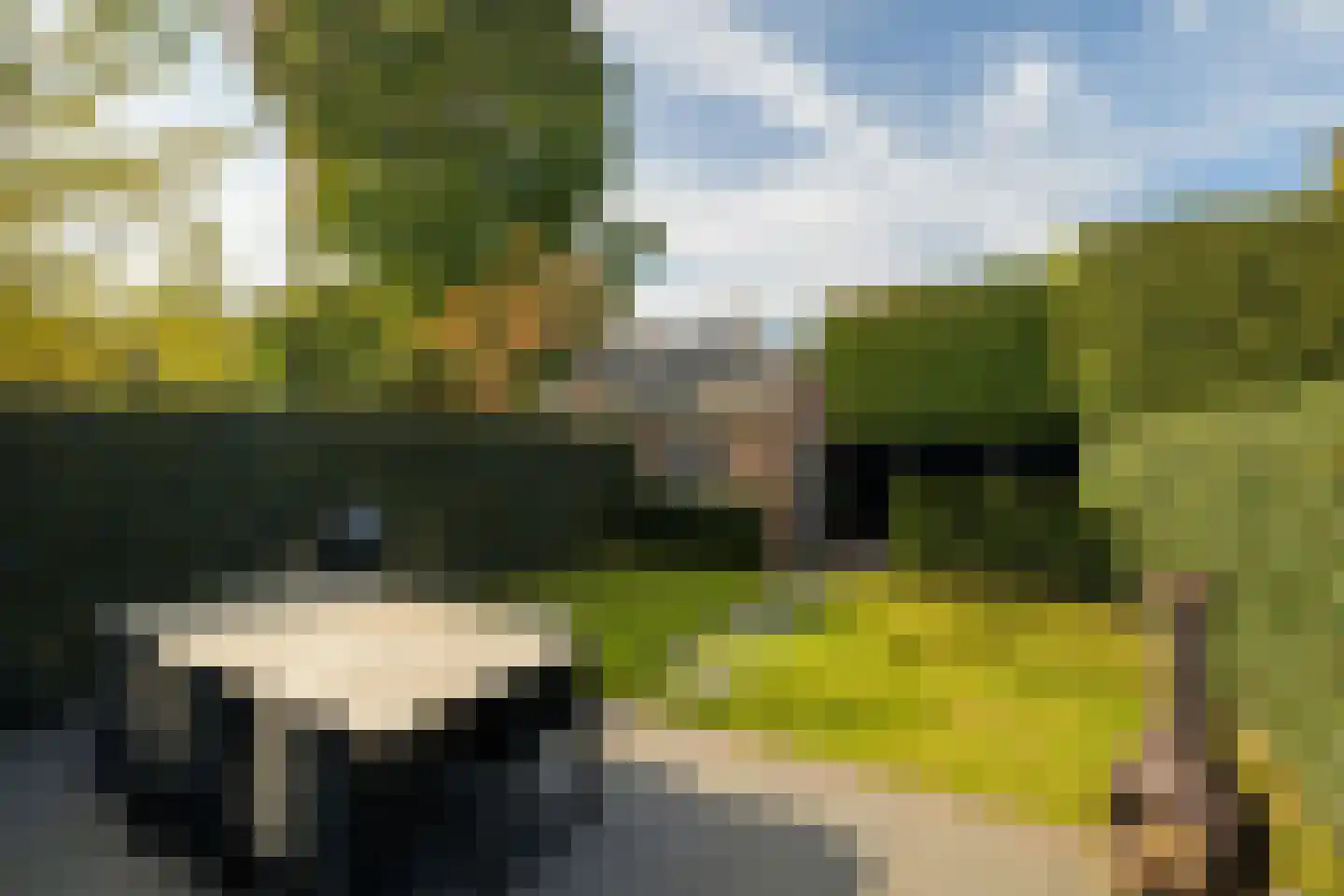van Riebeecklaan 33 Breda thumbnail 36