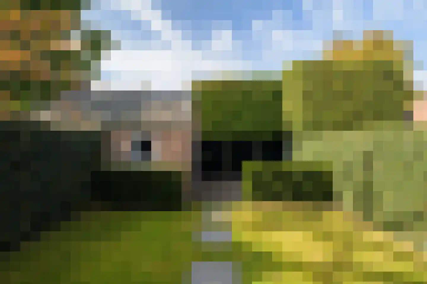 van Riebeecklaan 33 Breda thumbnail 37
