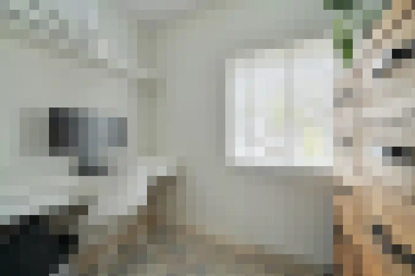van Riebeecklaan 33 Breda thumbnail 47