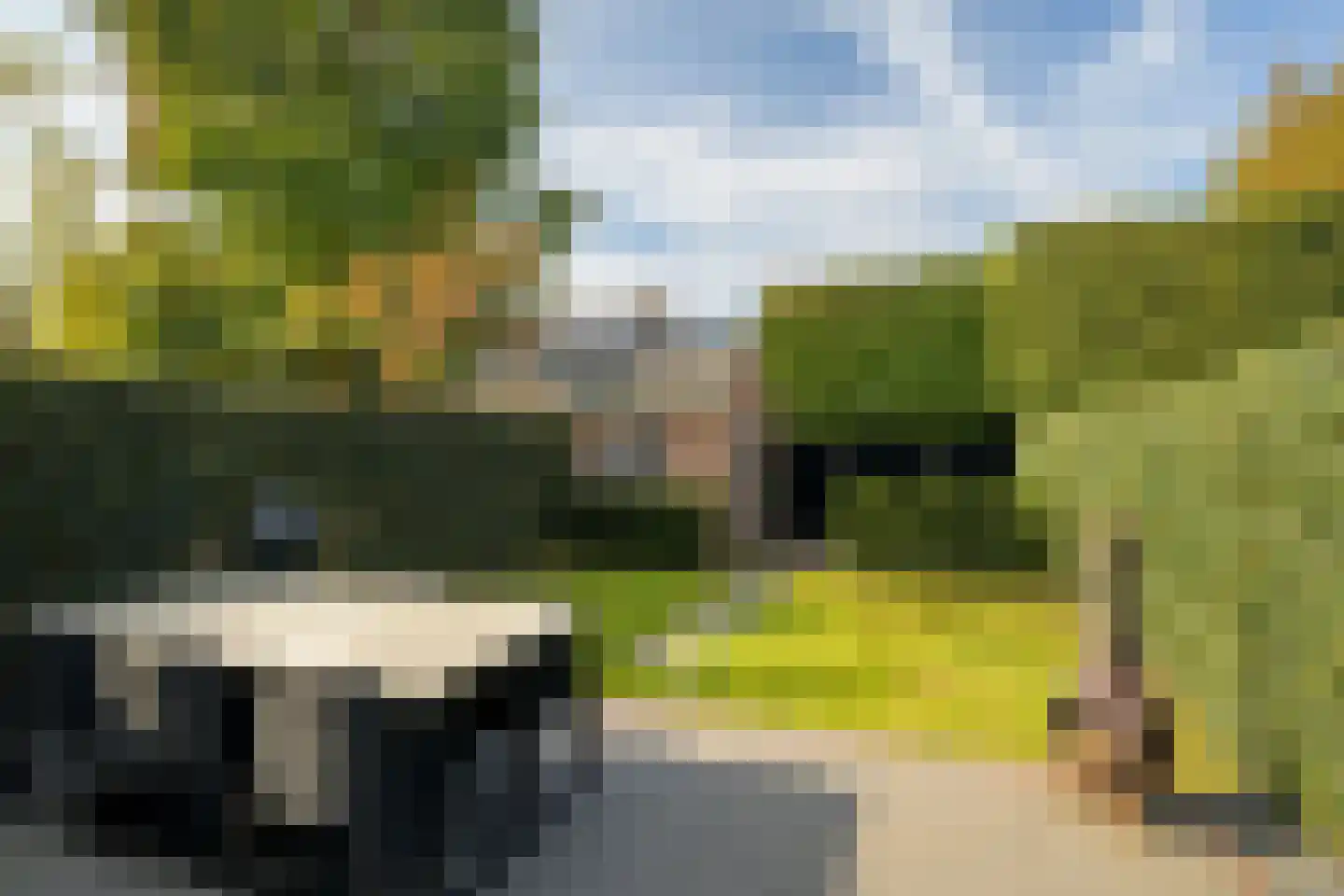 van Riebeecklaan 33 Breda thumbnail 5