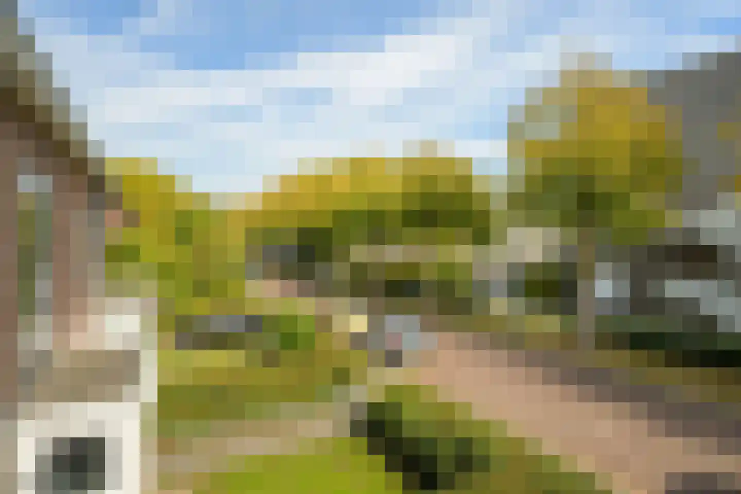 van Riebeecklaan 33 Breda thumbnail 56