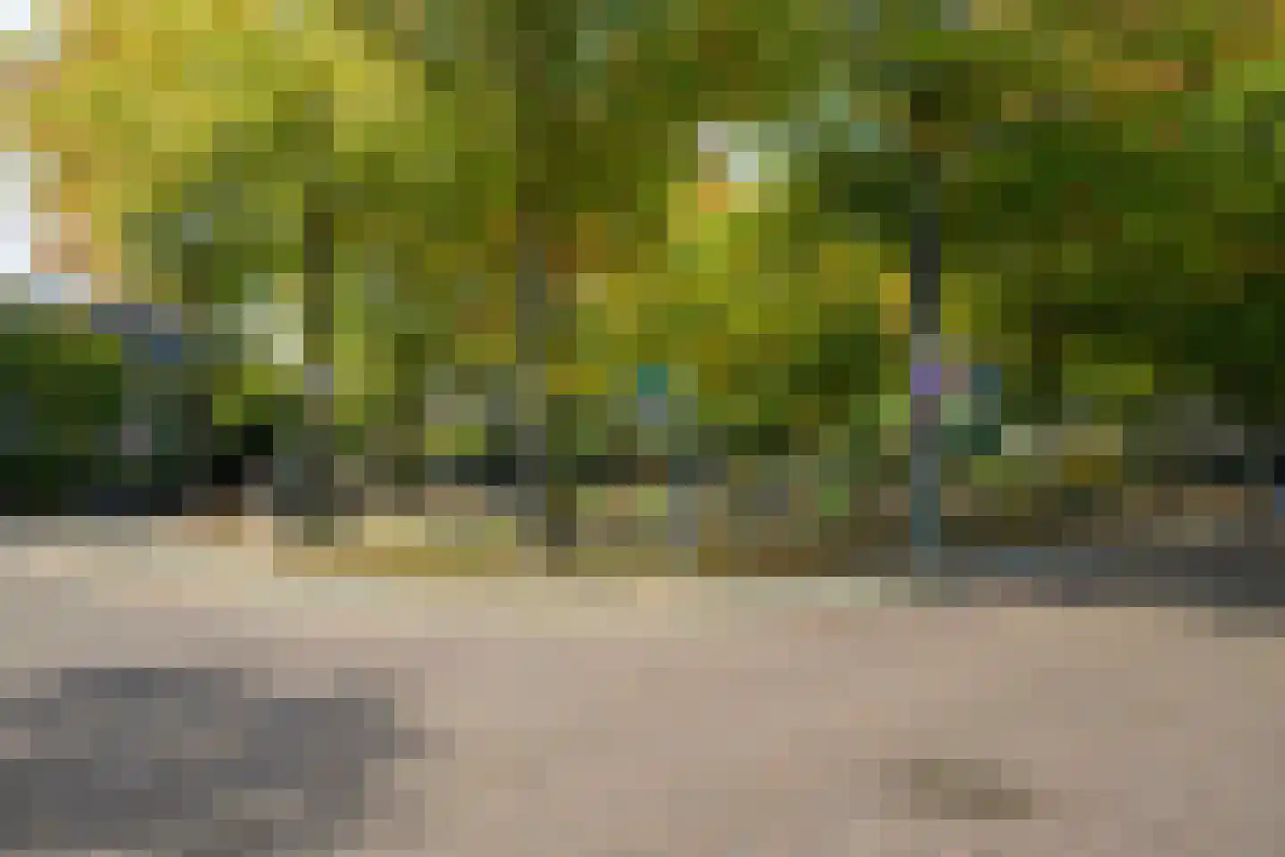 van Riebeecklaan 33 Breda thumbnail 65