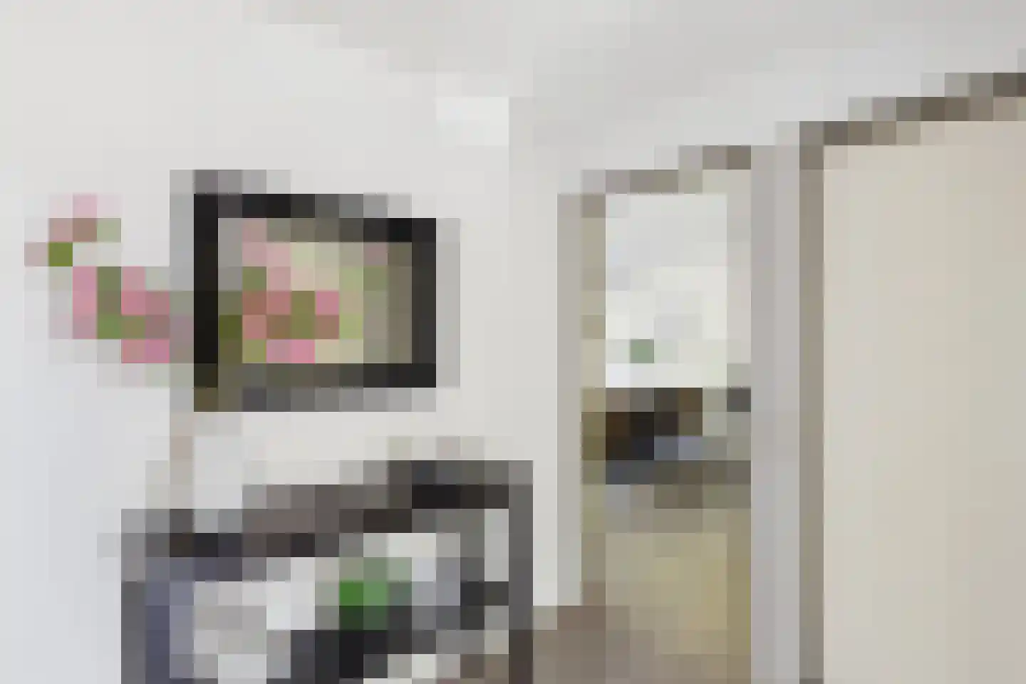 van Riebeecklaan 5 Hulst thumbnail 10