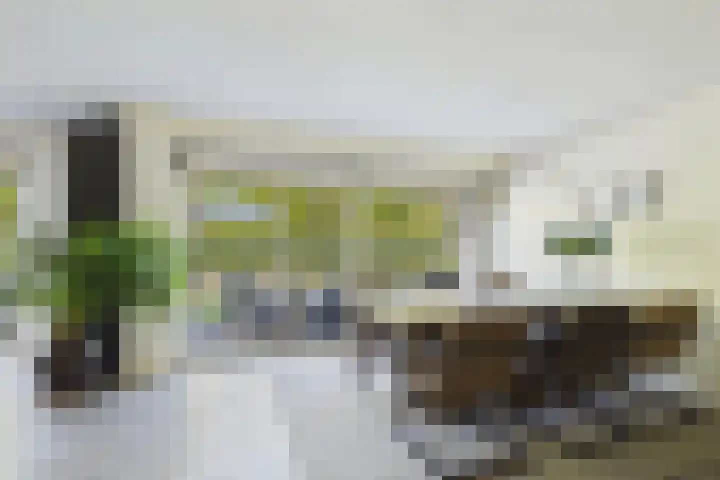 van Riebeecklaan 5 Hulst thumbnail 11