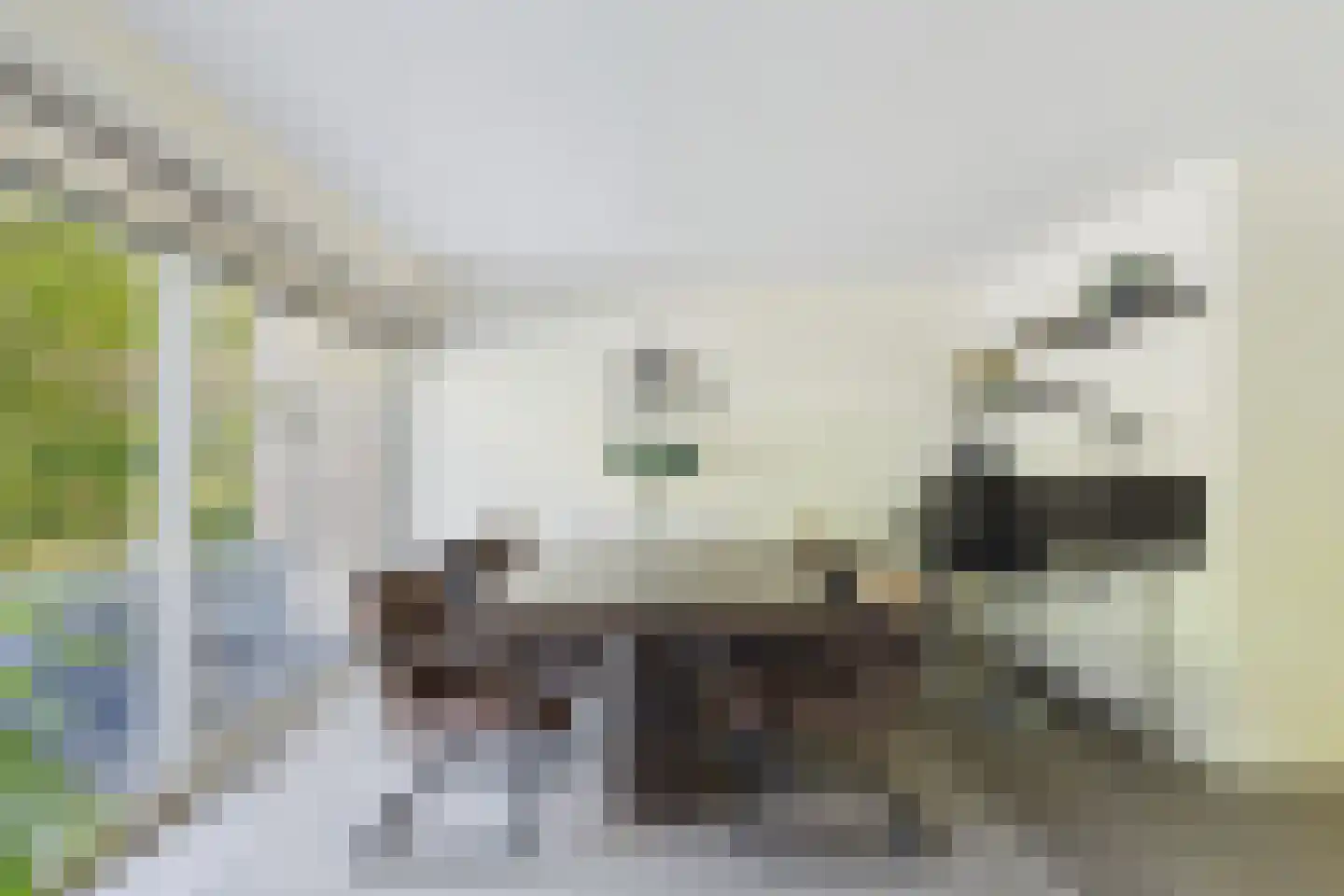 van Riebeecklaan 5 Hulst thumbnail 12
