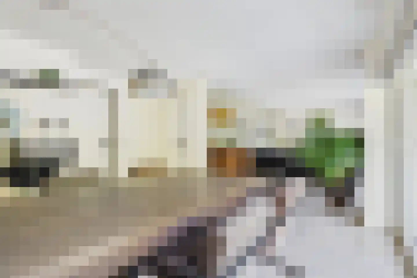 van Riebeecklaan 5 Hulst thumbnail 13