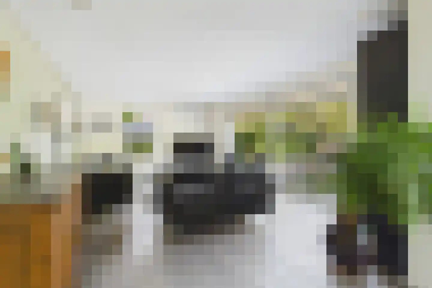 van Riebeecklaan 5 Hulst thumbnail 14