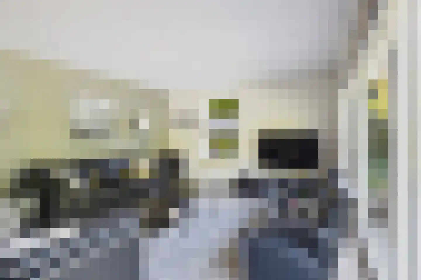 van Riebeecklaan 5 Hulst thumbnail 15