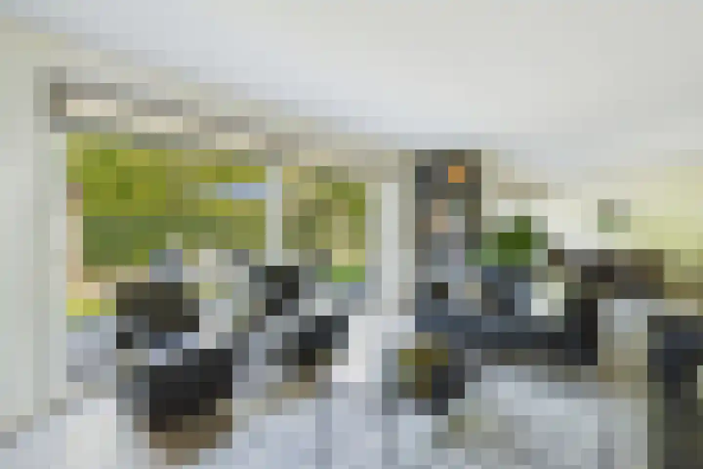 van Riebeecklaan 5 Hulst thumbnail 16