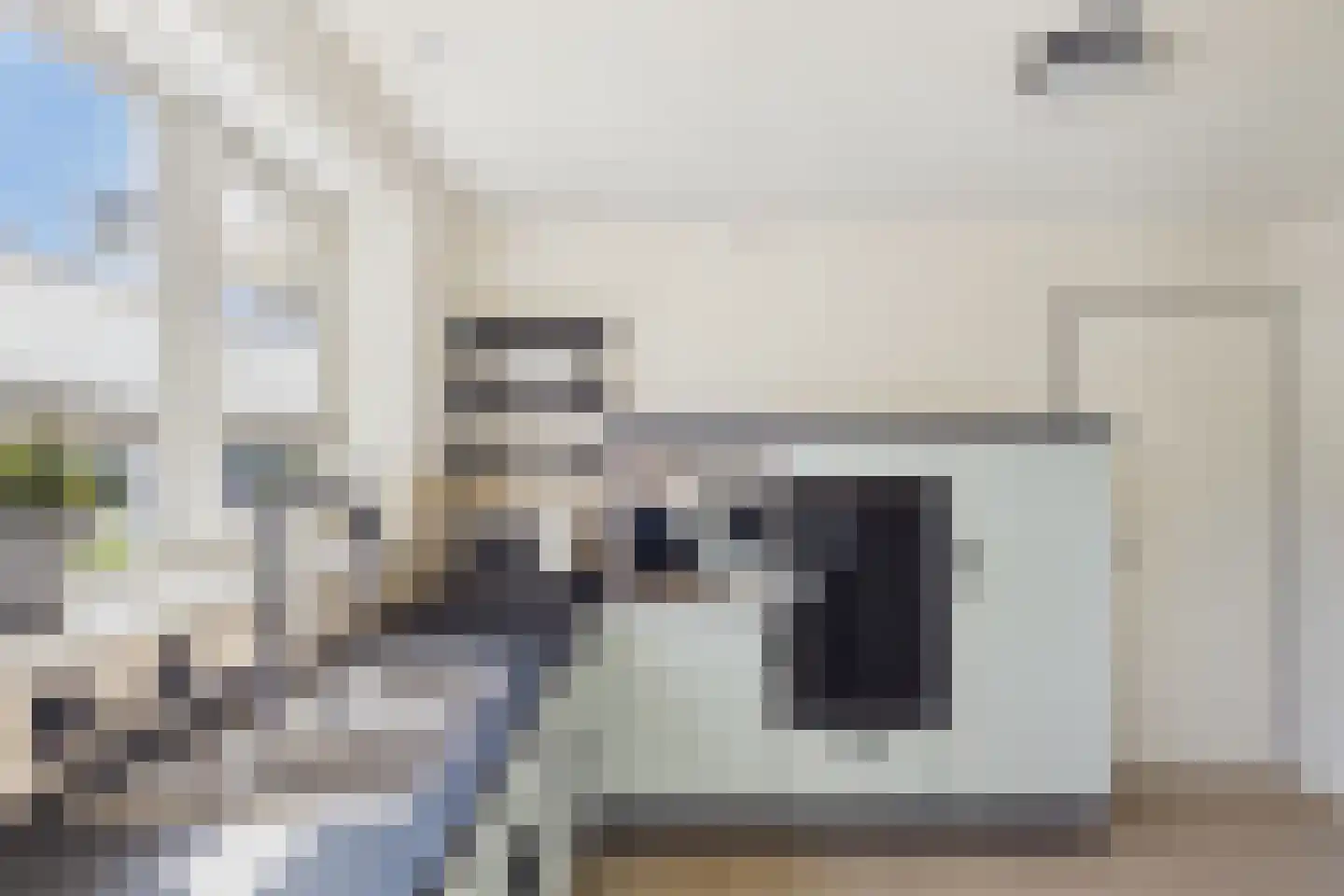 van Riebeecklaan 5 Hulst thumbnail 18