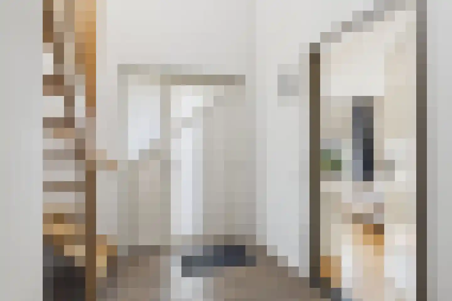 van Riebeecklaan 5 Hulst thumbnail 22