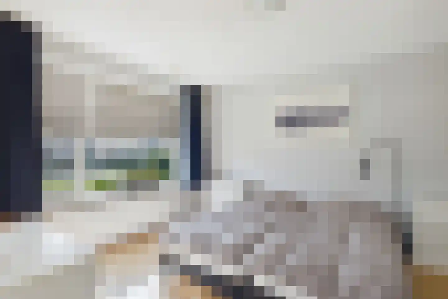 van Riebeecklaan 5 Hulst thumbnail 23