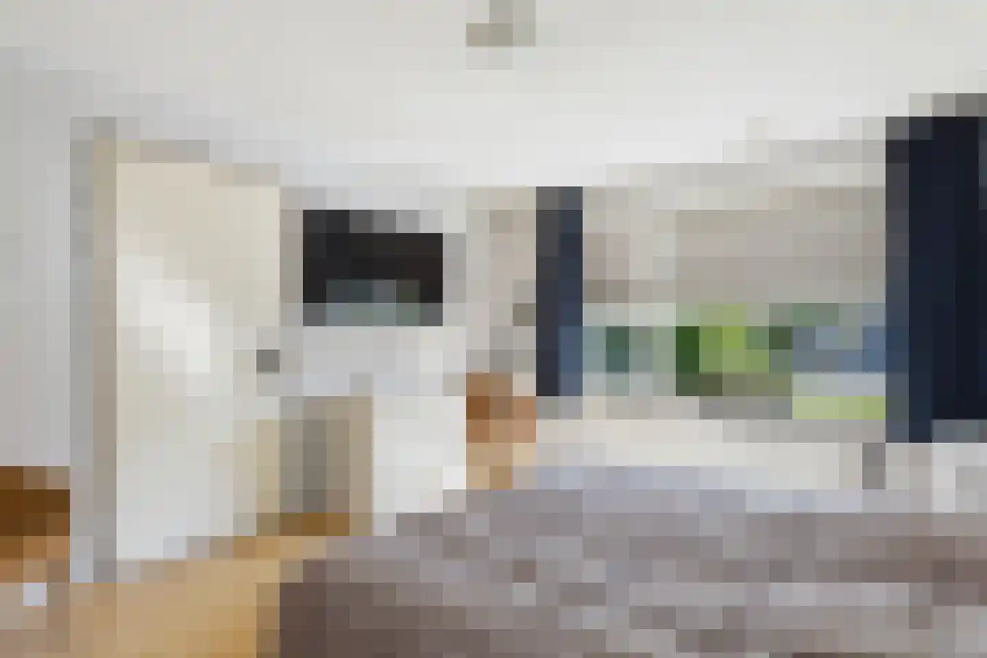 van Riebeecklaan 5 Hulst thumbnail 24