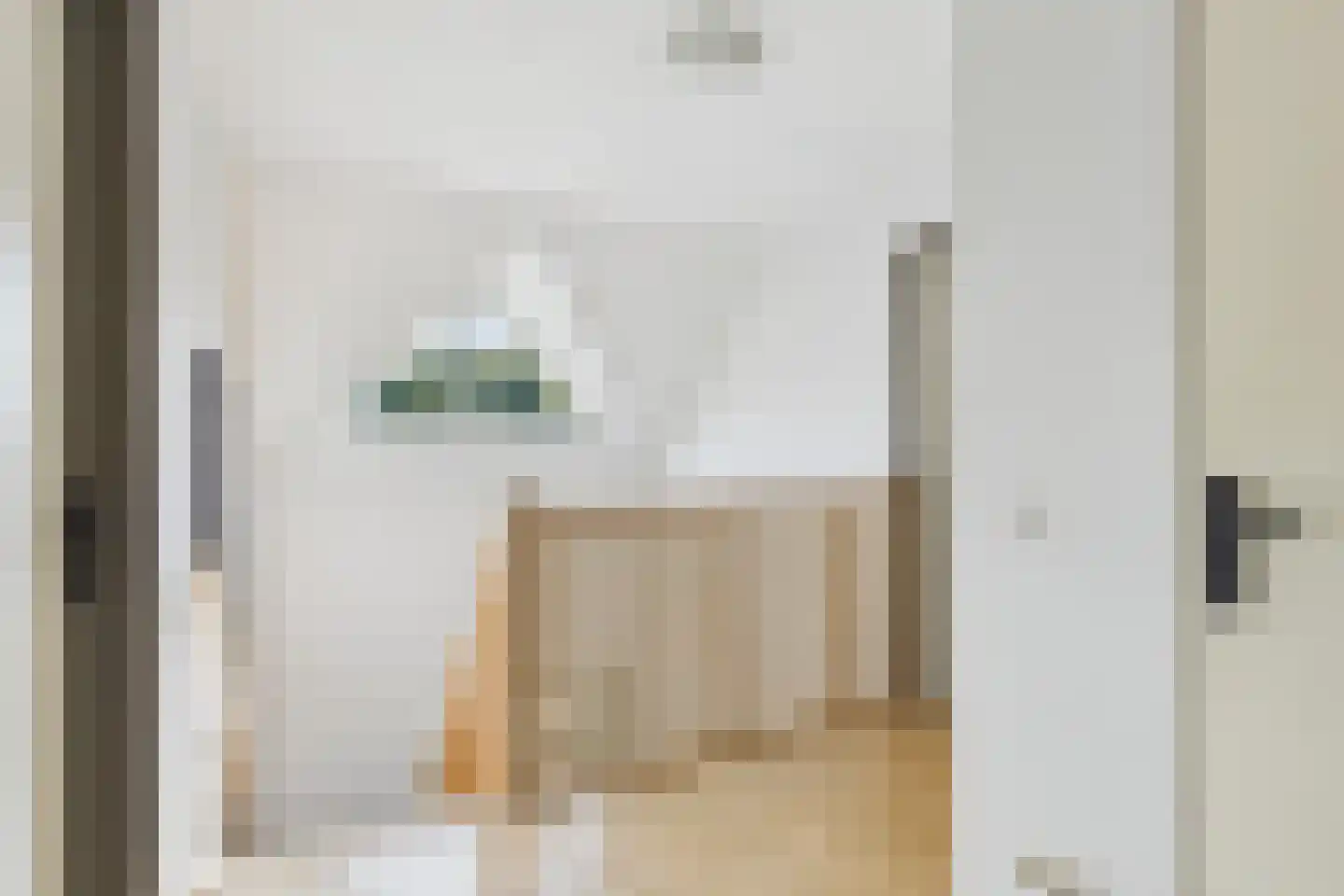van Riebeecklaan 5 Hulst thumbnail 30
