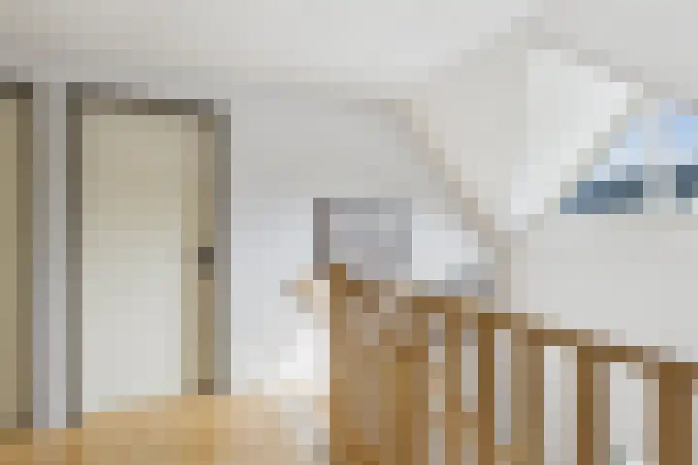 van Riebeecklaan 5 Hulst thumbnail 32