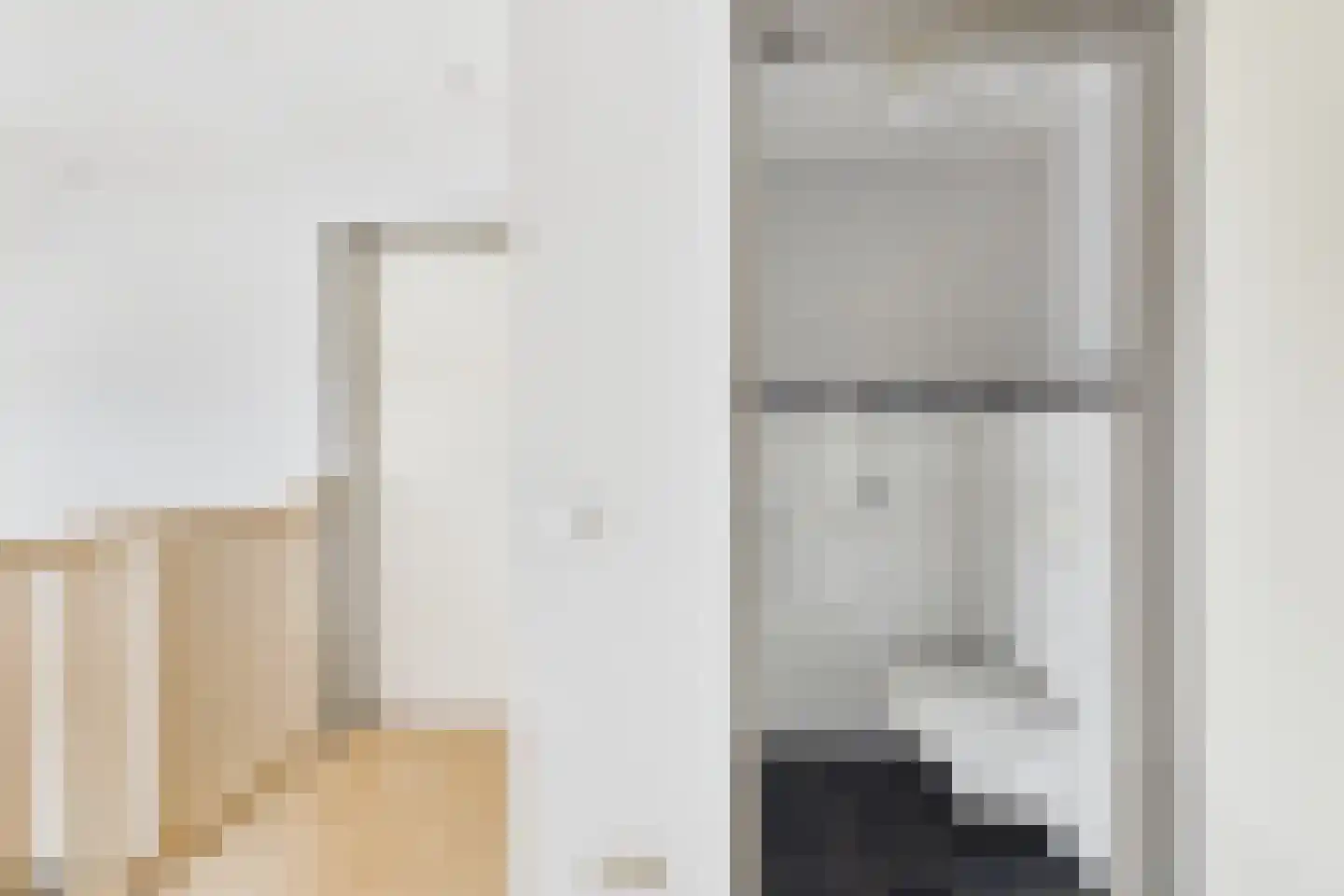 van Riebeecklaan 5 Hulst thumbnail 33