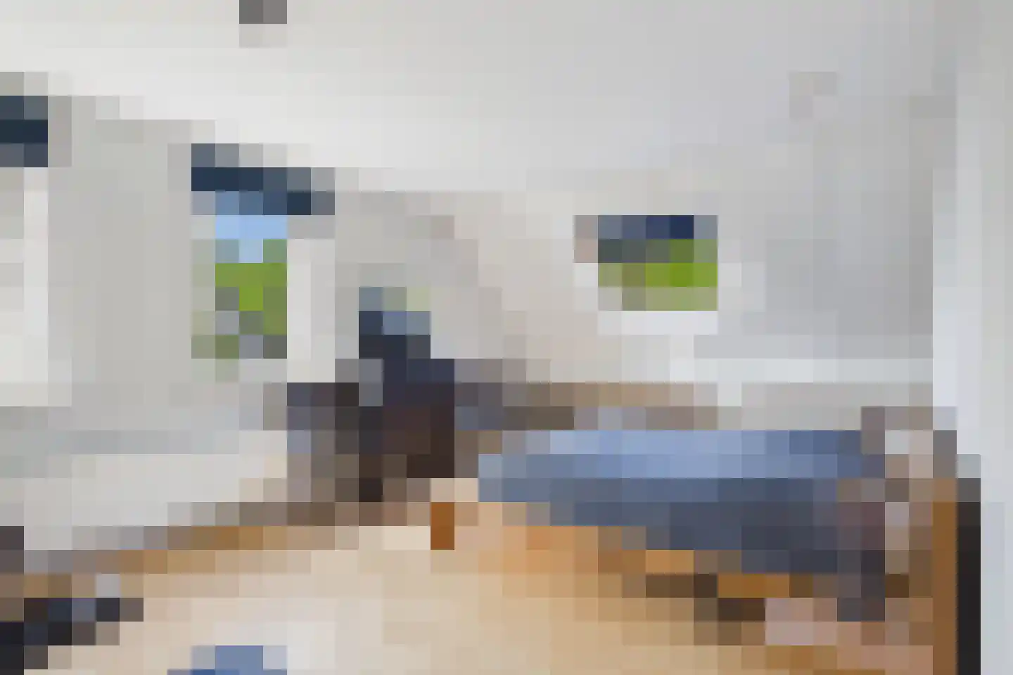 van Riebeecklaan 5 Hulst thumbnail 35