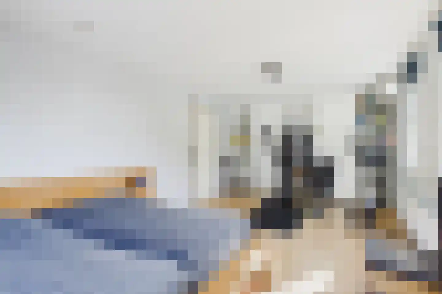 van Riebeecklaan 5 Hulst thumbnail 36