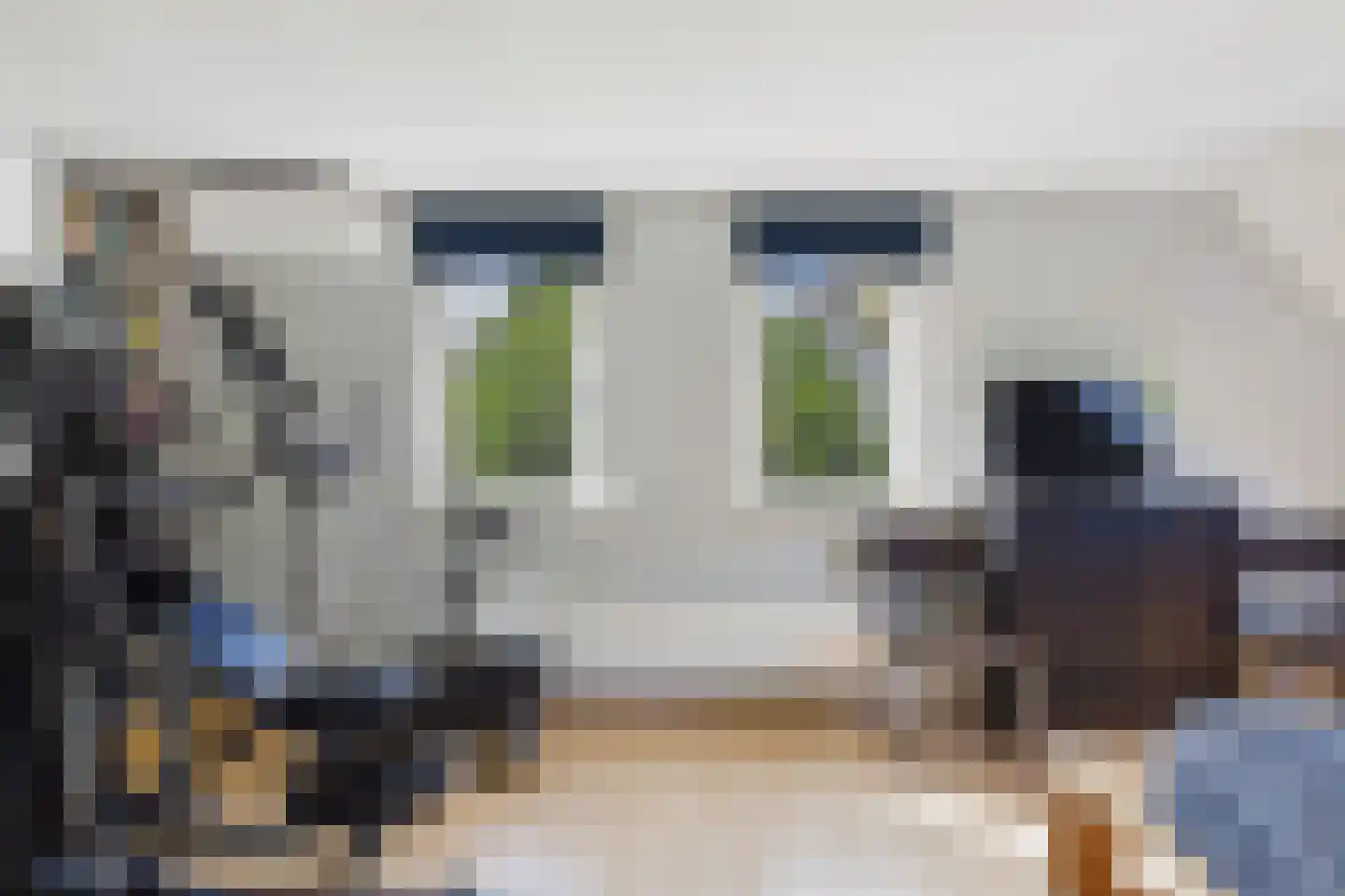van Riebeecklaan 5 Hulst thumbnail 37