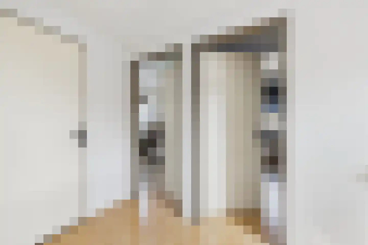 van Riebeecklaan 5 Hulst thumbnail 38