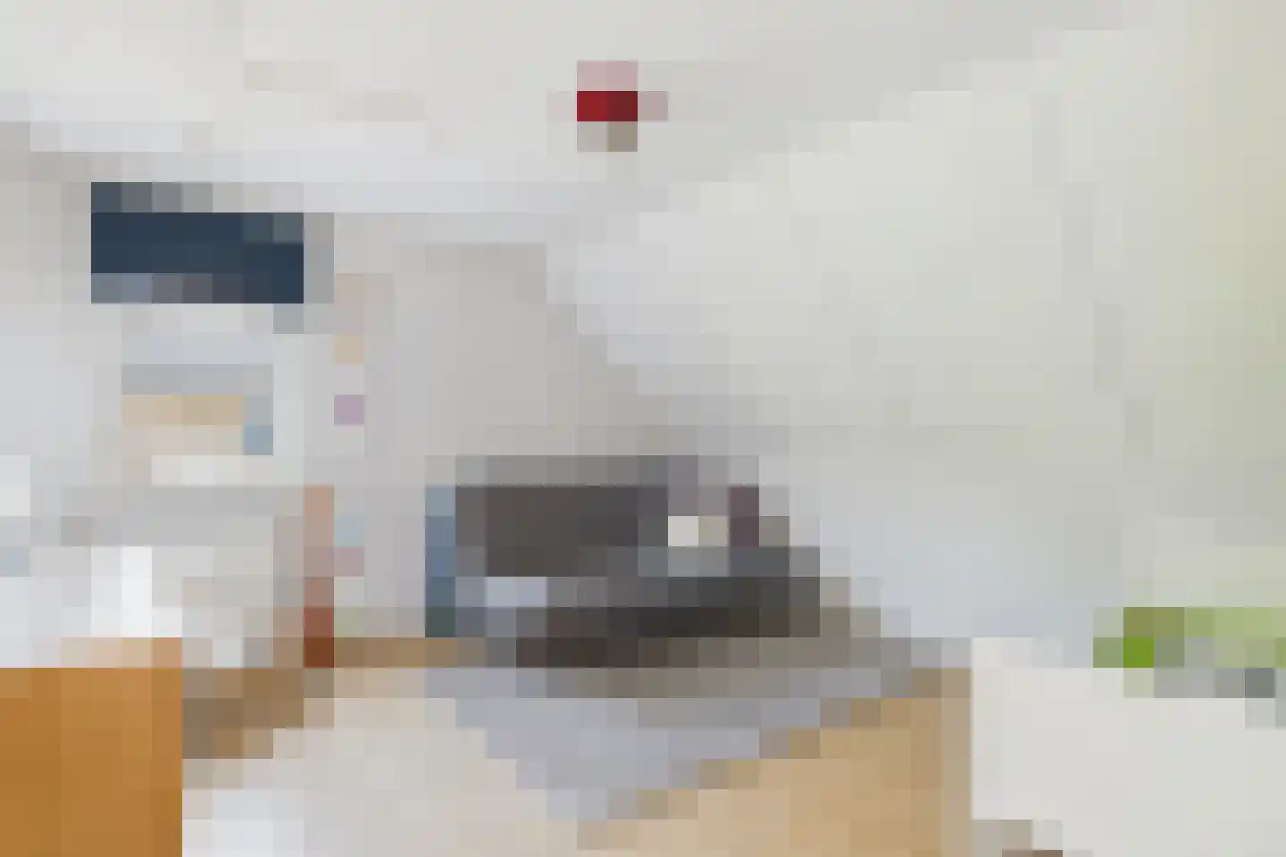van Riebeecklaan 5 Hulst thumbnail 41