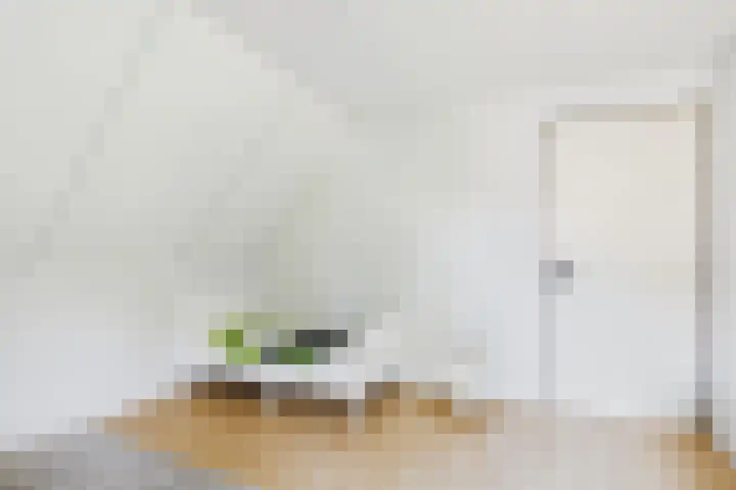 van Riebeecklaan 5 Hulst thumbnail 43