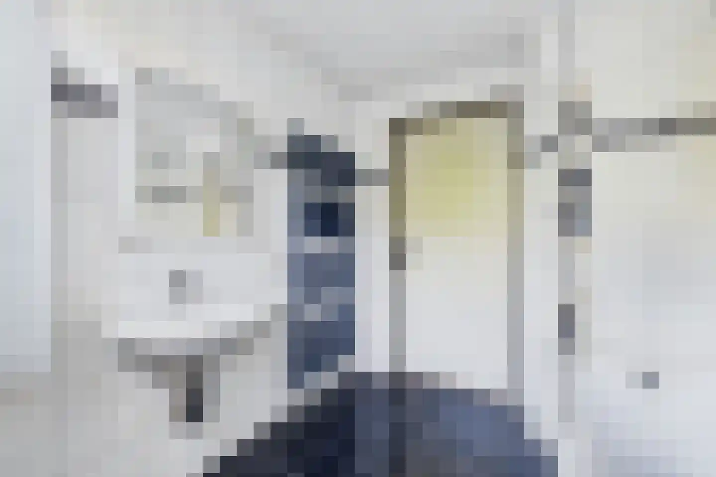 van Riebeecklaan 5 Hulst thumbnail 45