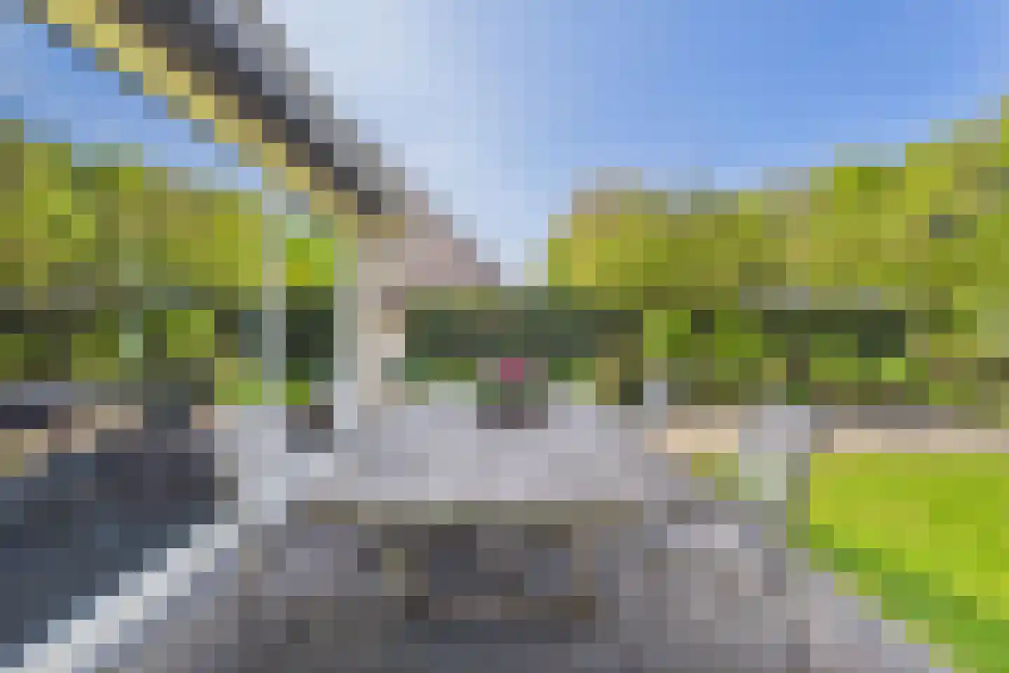 van Riebeecklaan 5 Hulst thumbnail 49