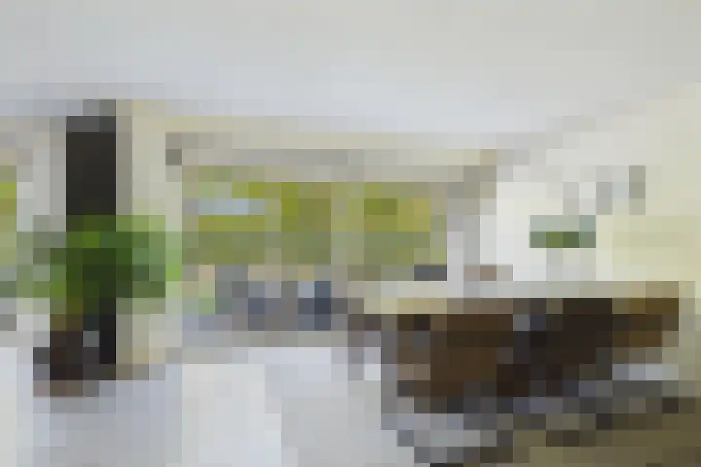 van Riebeecklaan 5 Hulst thumbnail 5