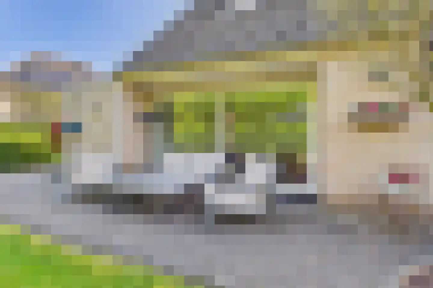 van Riebeecklaan 5 Hulst thumbnail 50