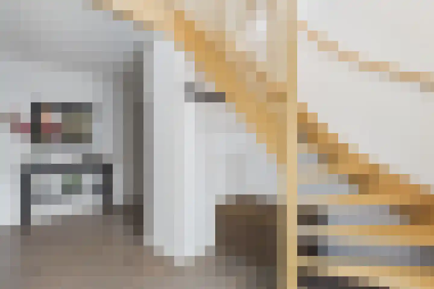 van Riebeecklaan 5 Hulst thumbnail 9
