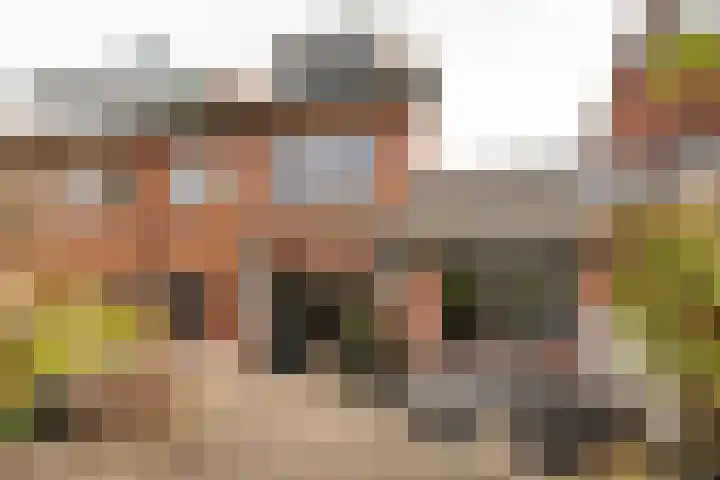Van Riebeecklaan 50 Haarlem thumbnail 17
