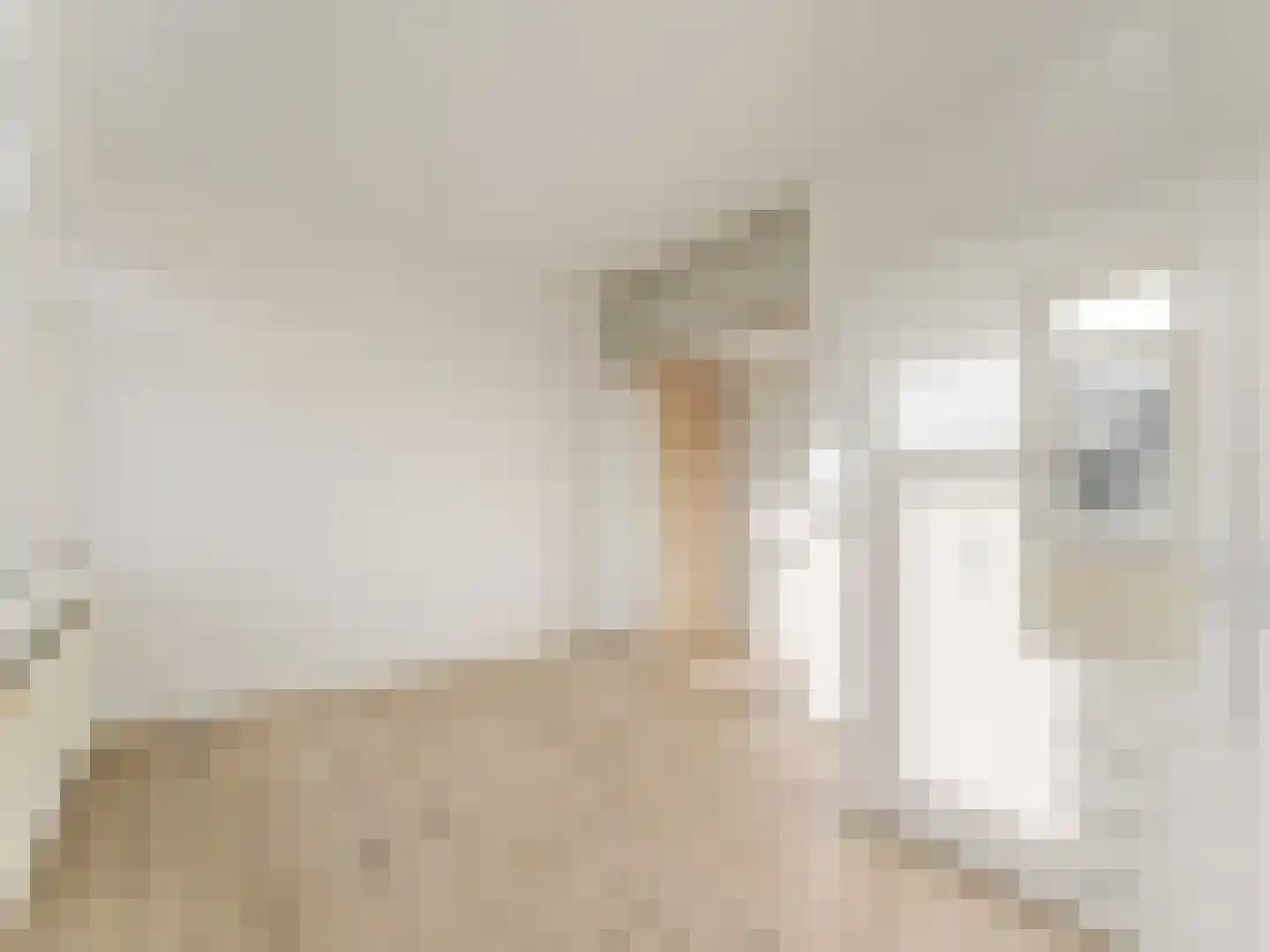 Van Riebeeckstraat 26 BSA Utrecht thumbnail 17