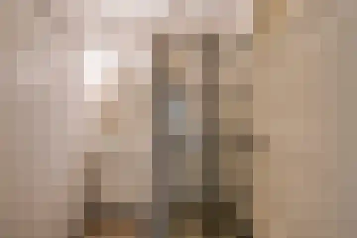 Van Riebeeckstraat 26 Utrecht thumbnail 20