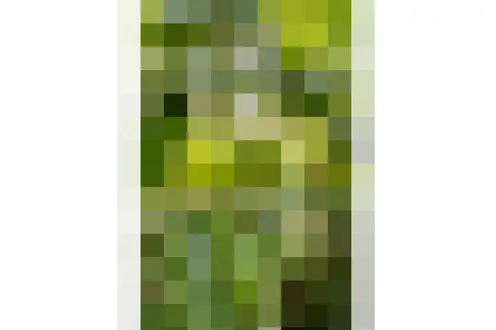 Van Riebeeckstraat 26 Utrecht thumbnail 35