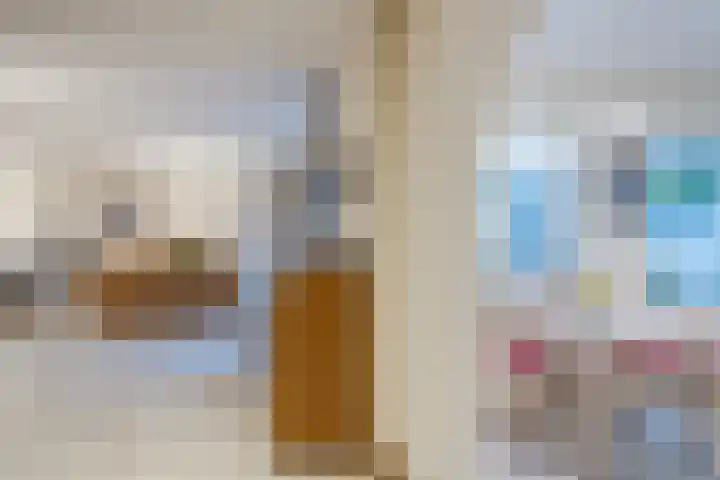 van Riebeeckstraat 29 Dongen thumbnail 12