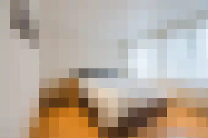 van Riebeeckstraat 29 Dongen thumbnail 33