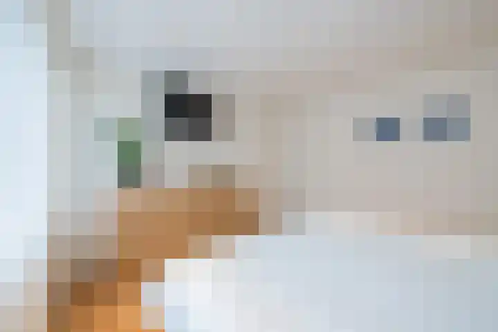 van Riebeeckstraat 29 Dongen thumbnail 35