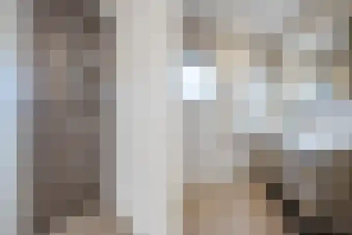 van Riebeeckstraat 29 Dongen thumbnail 39